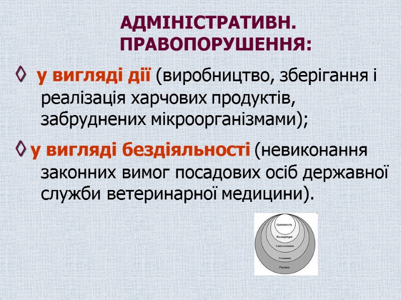 АДМІНІСТРАТИВН. ПРАВОПОРУШЕННЯ: ◊  у вигляді дії (виробництво, зберігання і реалізація харчових продуктів, забруднених
